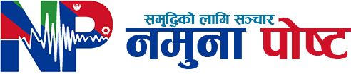 Namuna Post Logo