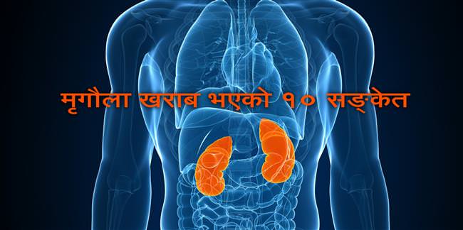 Kidney-1