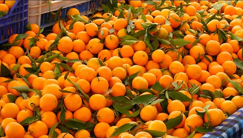 Suntala-Orange