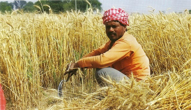 Agriculture_3