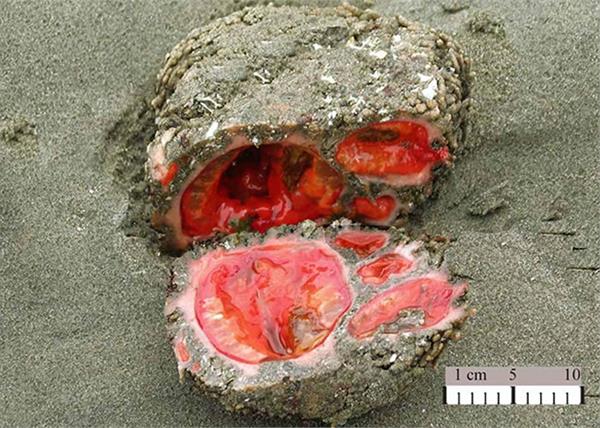 rock_3wHdQQqVEj