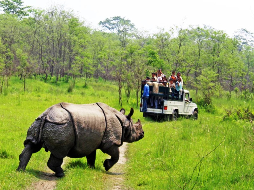 Chitawan
