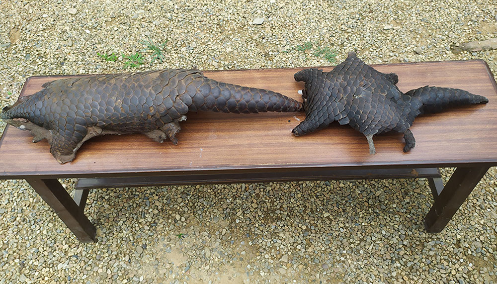 salak-khapeta-sindhuli-2092021112803