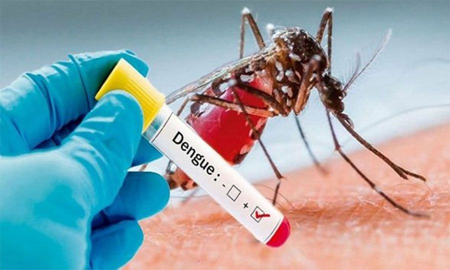 dengue_ZtZVwwiHrP