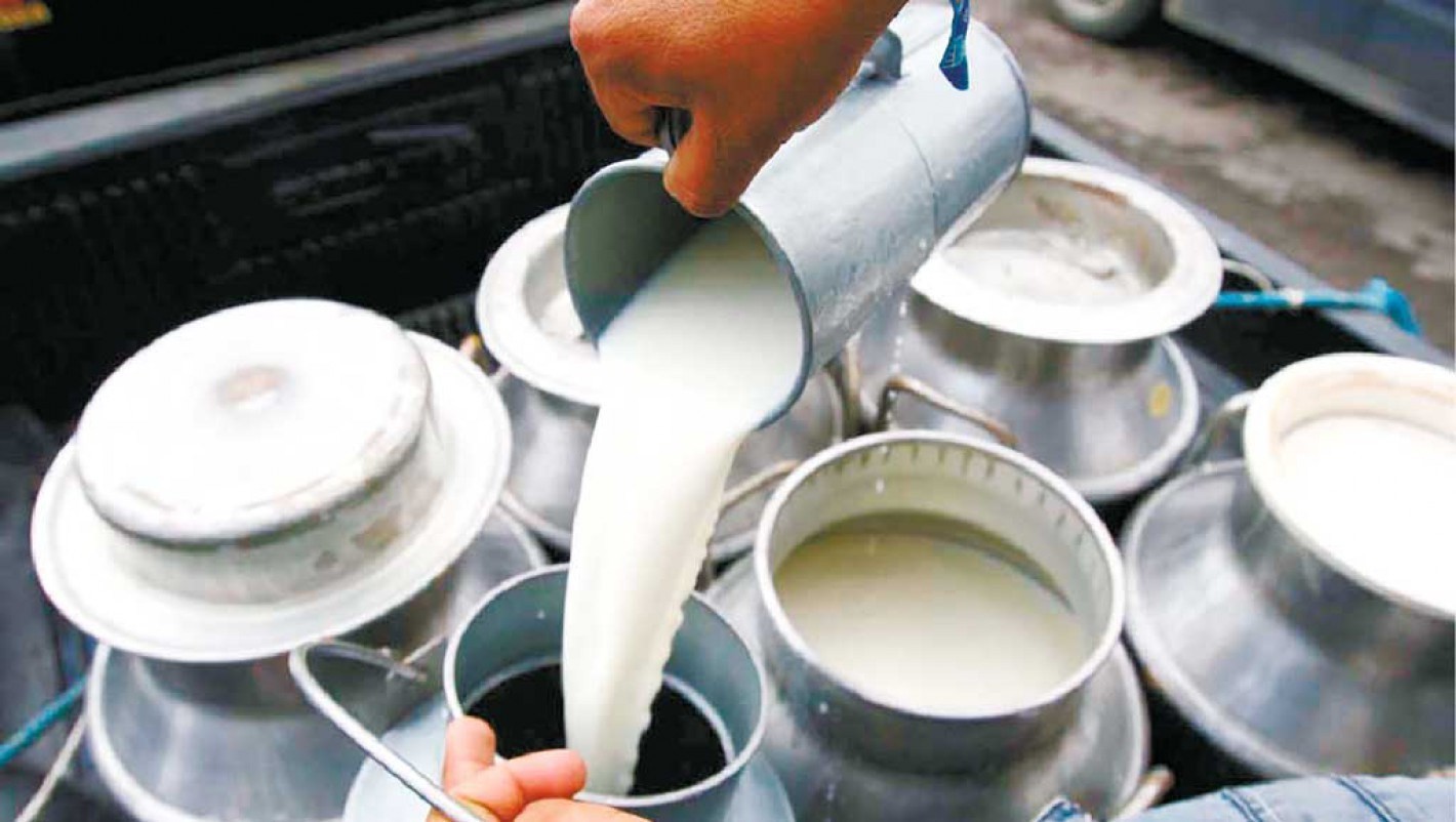 milk