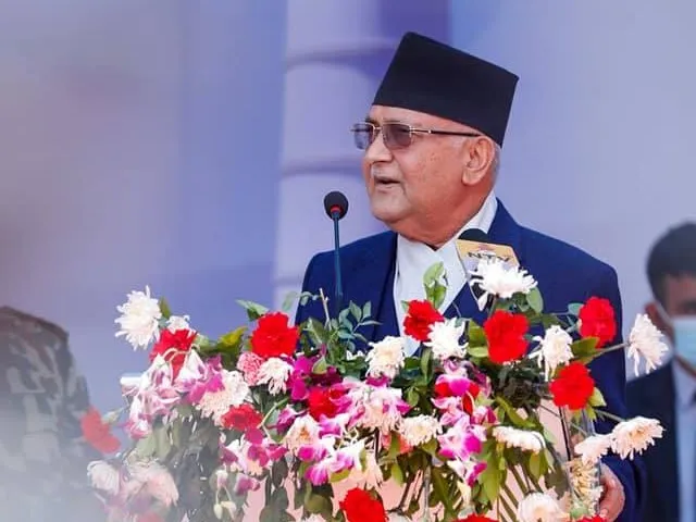 kp-oli