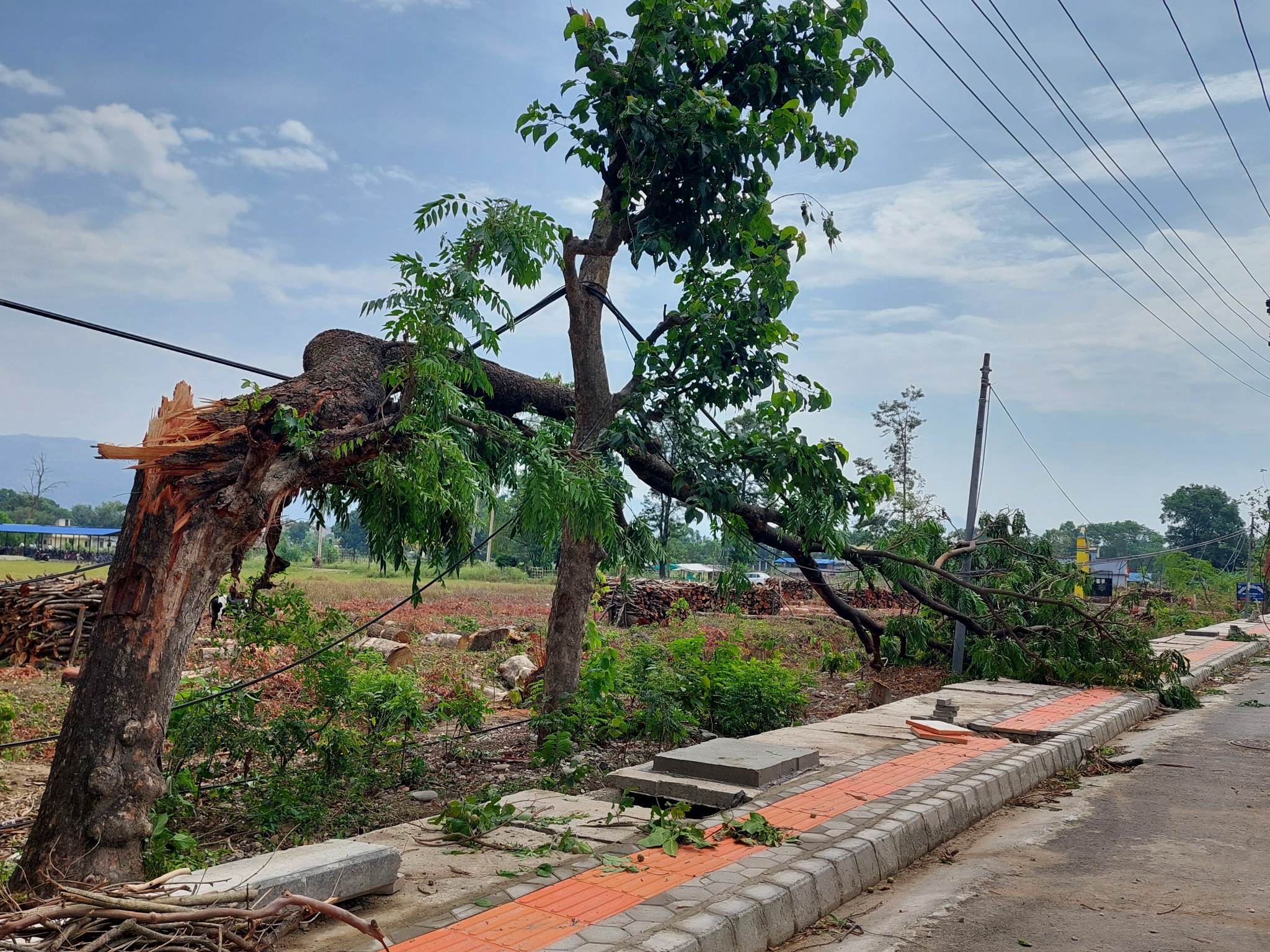 hawahuri1