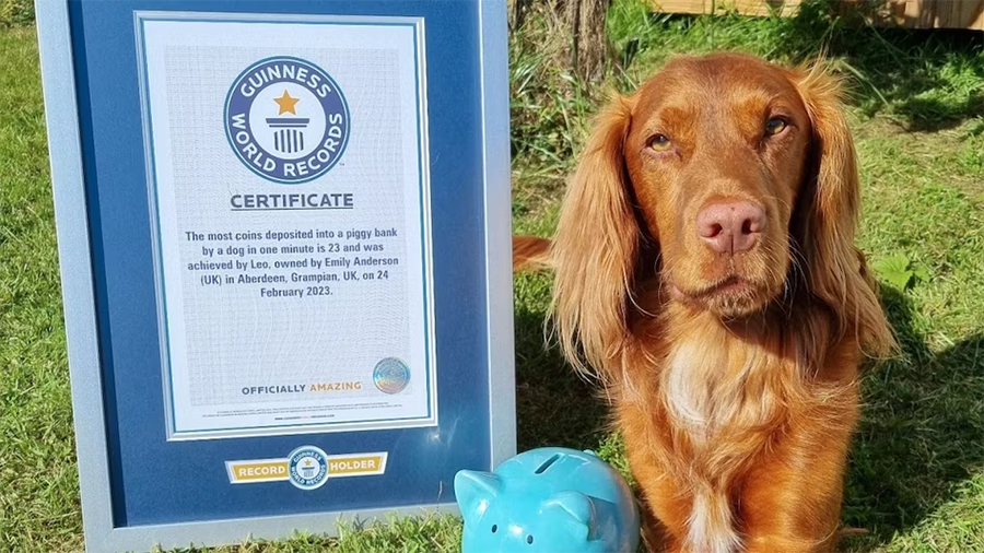 dog-makes-world-record