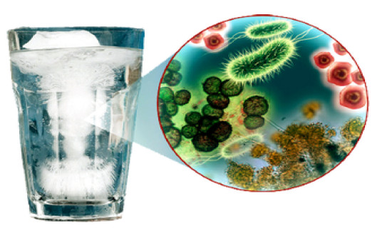 pani