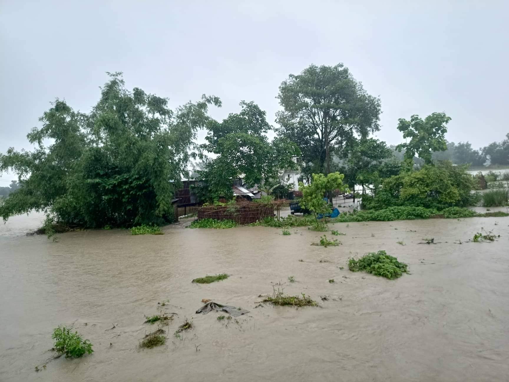 badi-jhapa1656400430