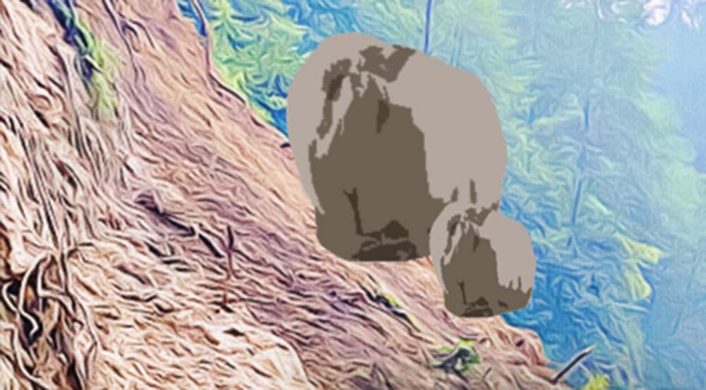 pahiro-4 (1)