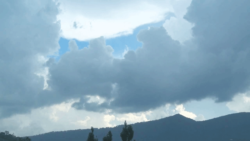weather