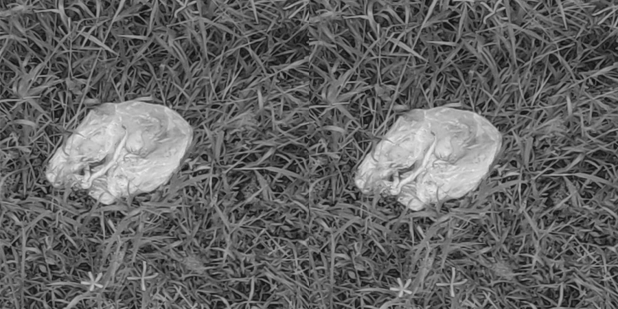 sishu-2