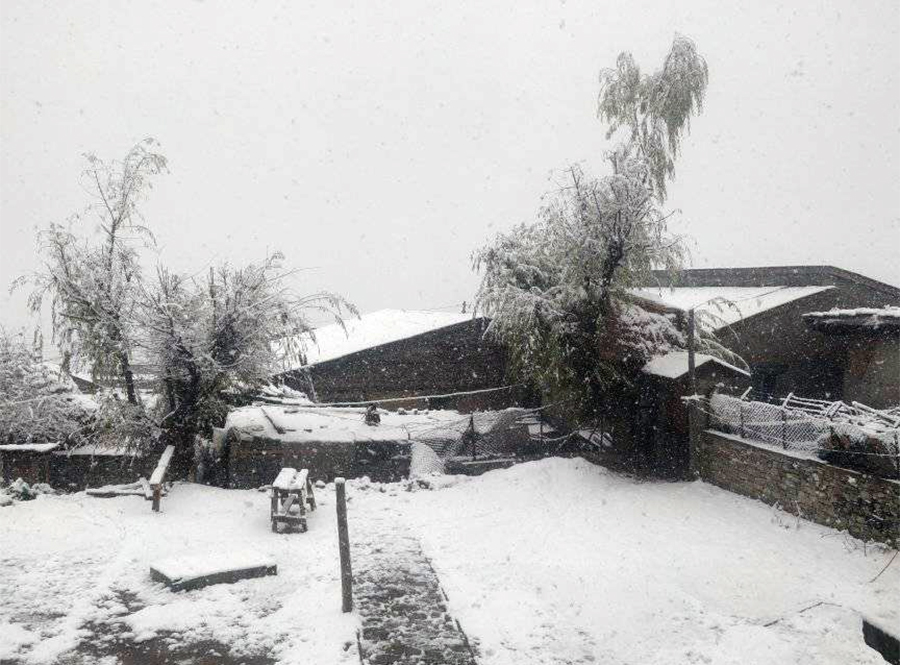 Humla-Snowfall-1