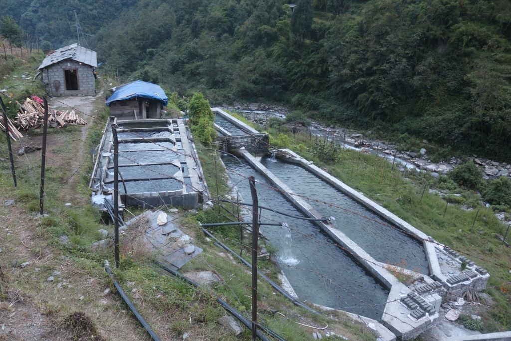 timure_machhapalan1
