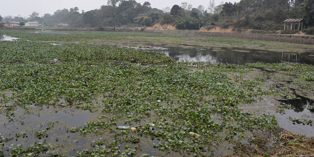 Jalkumbhi